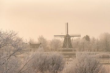 Zicht op een oude windmolen in de stad Kampen naast de rivier de IJssel in de winter