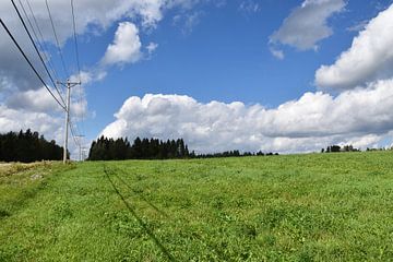 A field in summer under blue skies by Claude Laprise