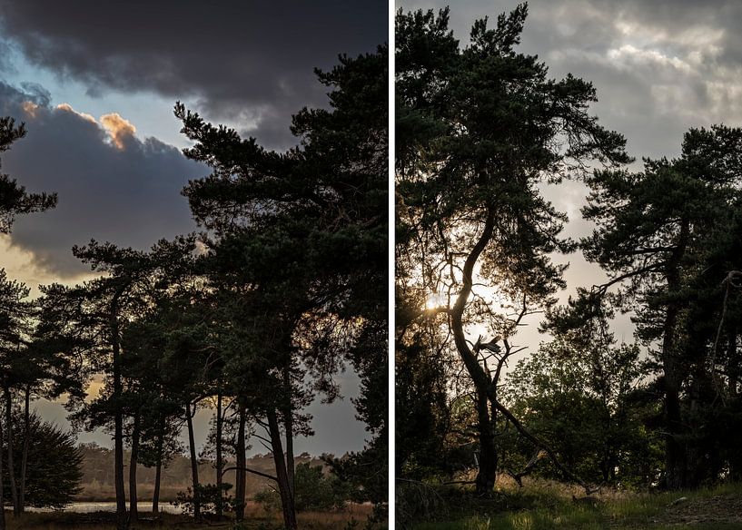 Diptych autumn: Threatening and in splashing light. by Arthur van den Berg