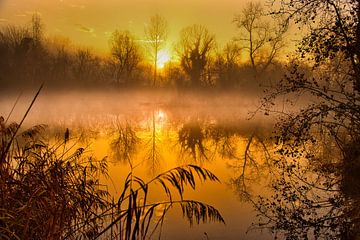 Zonsopgang in de Grote Ried van Tanja Voigt