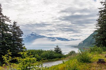 Adembenemend uitzicht op Lutak Inlet in Haines, Alaska, met de bergen op de achtergrond. van Henk van Dijk