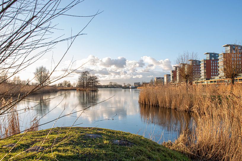 Barendrecht, Gaatkensplas by Mirjam Verbeek