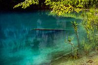 Turquoise-groen water in het Nationaal Park Plittwitz Meren