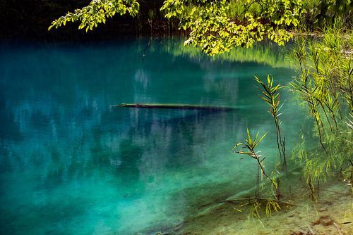 Türkisgrüne Wasserfläche im Nationalpark Plittwitzer Seen