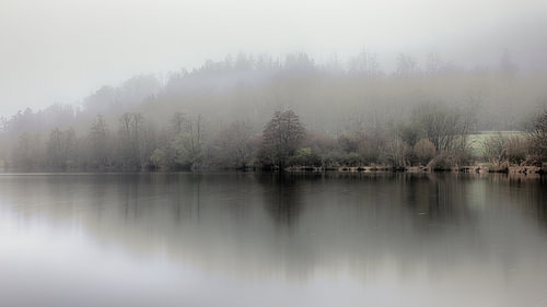 Nebliger See