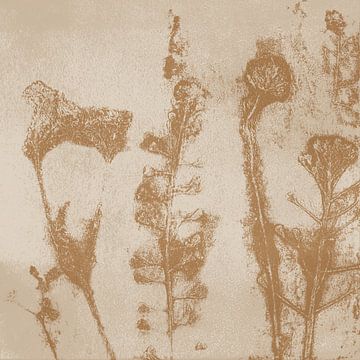 Summer flowers and leaves. Wabi-sabi botanical art by Dina Dankers