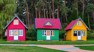 Traditionele kleurrijke souvenirhuisjes van Yevgen Belich