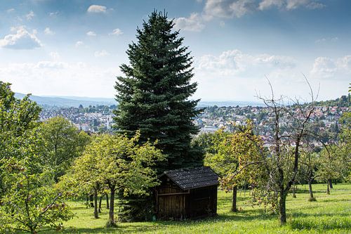 Vue d'Eningen sous le châle