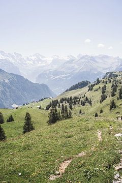 Sommer in der Schweiz von Patrycja Polechonska