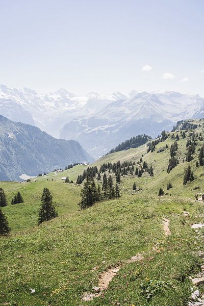 L'été en Suisse par Patrycja Polechonska