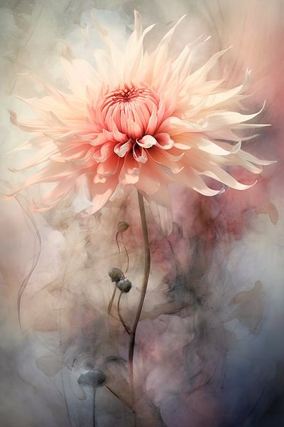 Chrysanthemum watercolour by Carla van Zomeren