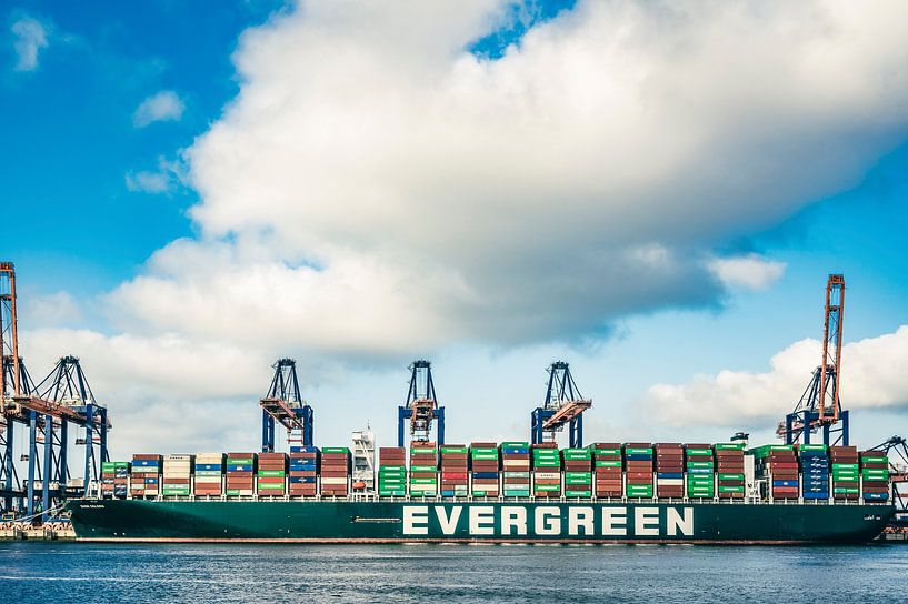Containerschip Ever Golden van Evergreen Lines in de Rotterdamse haven van Sjoerd van der Wal Fotografie