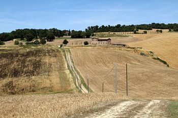 Tuscan landscape