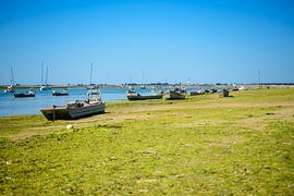 Oyster boats on the beach