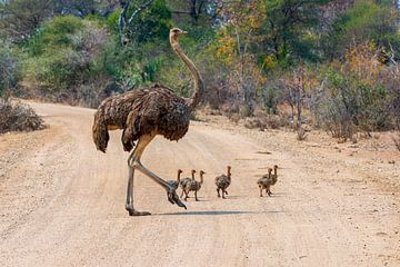 Familienausflug von Britta Kärcher