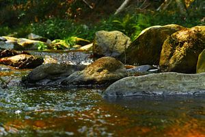 Große Ohe in der Steinklamm bei Spiegelau, Bayern