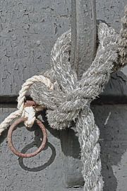 Fest verbunden von Ronald Smits