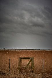 Oostvaardersplassen sur Jenco van Zalk