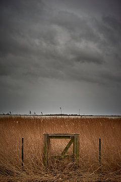 Oostvaardersplassen van Jenco van Zalk