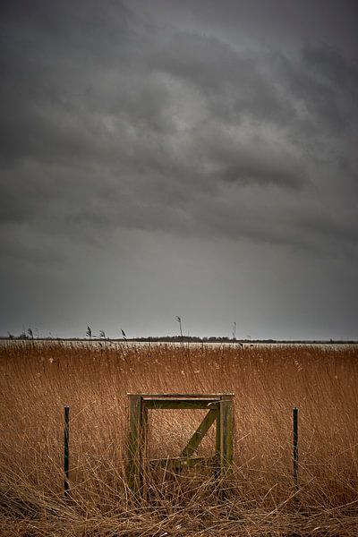 Oostvaardersplassen by Jenco van Zalk