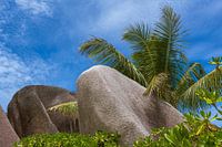De lucht boven de Seychellen