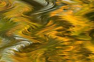 Stromend water II van Henriëtte van Golde thumbnail