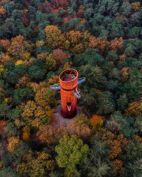 Bosberg Tower in Autumn Colours – Appelscha by Ewold Kooistra