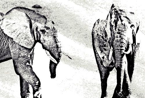 two Elephants at a waterhole mixed media