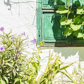 Groen vensterluik met paarse bloemen en groene bladeren | Griekenland - Samos | reisfotografie van Lisa Bocarren