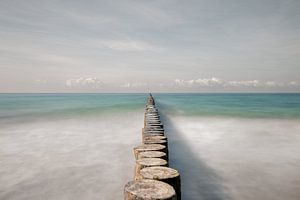 Abstract & Minimalimus