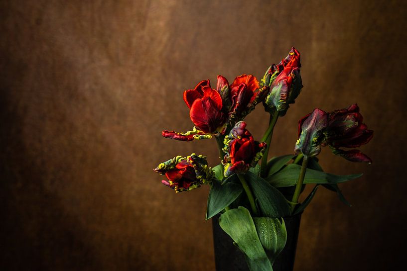 Tulips by Elena van der Veen