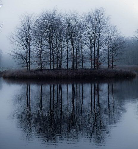 Reflection
