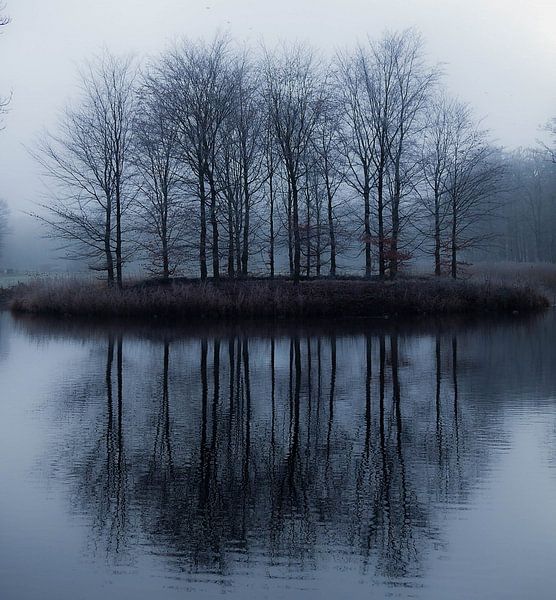 Reflexion von Anita van Gendt