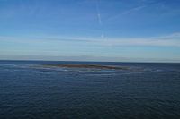 Waddenzee en zeehonden