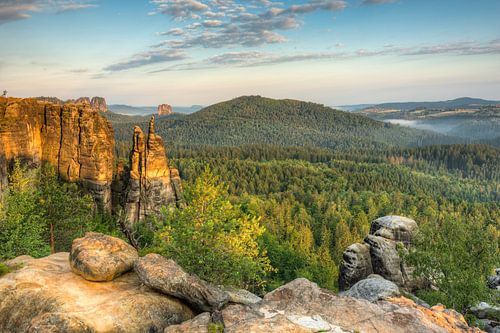 Brosinnadel in Saxon Switzerland