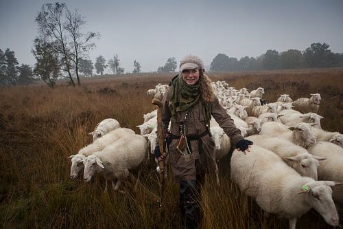 Herderin op de Veluwe