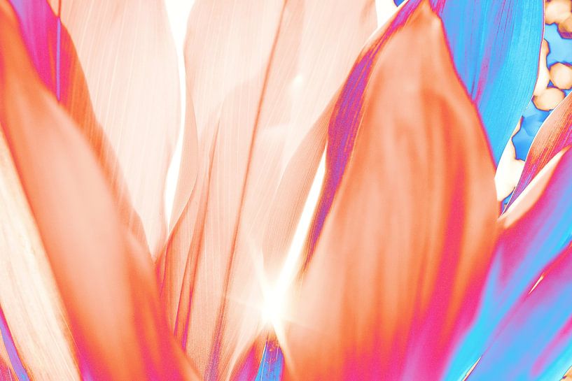 Dracaena Leaves no. 2 by Adriano Oliveira