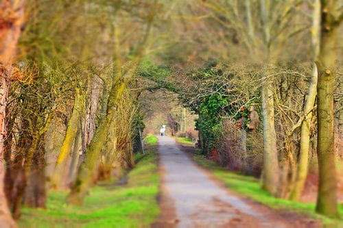 Vierhöfeweg