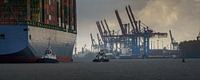 Container ship with tugboats and harbour cranes in the background