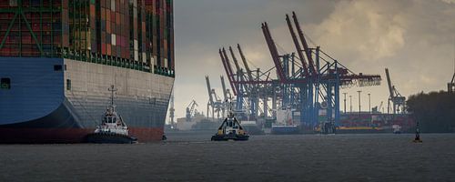 Containerschip met sleepboten en havenkranen op de achtergrond
