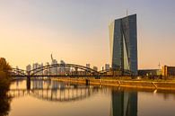 Frankfurt am Main - Skyline en Europese Centrale Bank van Frank Herrmann thumbnail