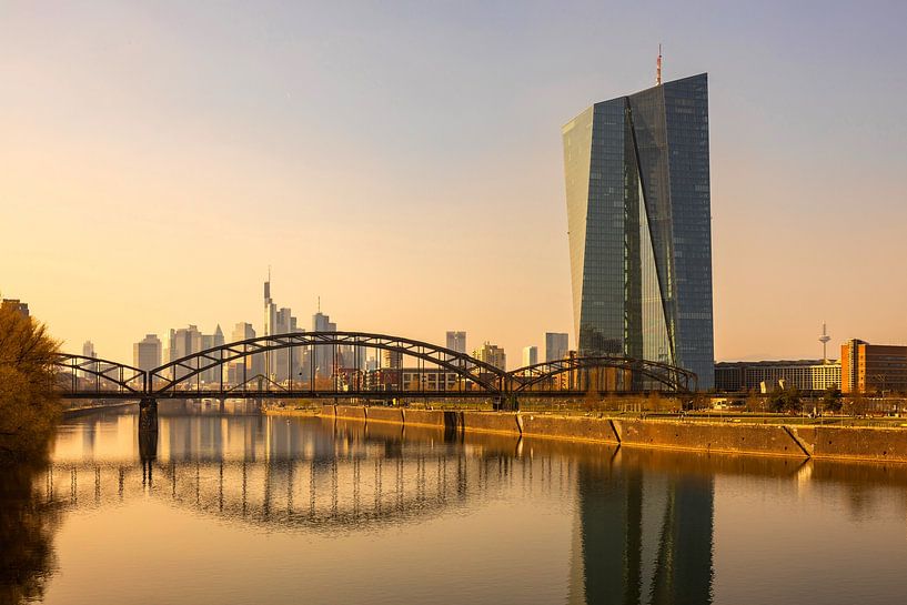 Frankfurt am Main - Skyline und Europäische Zentralbank von Frank Herrmann