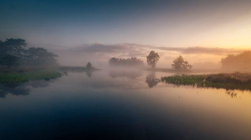 vroege ochtend Steenhaarplassen