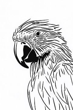 Minimalistische zwart-wit papegaai lijntekening van De Muurdecoratie