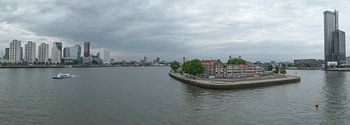 Rotterdam Panorama