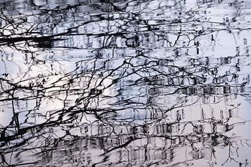 Reflectie in het water van Barbara Brolsma