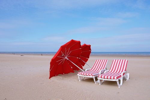 Zon aanbidders