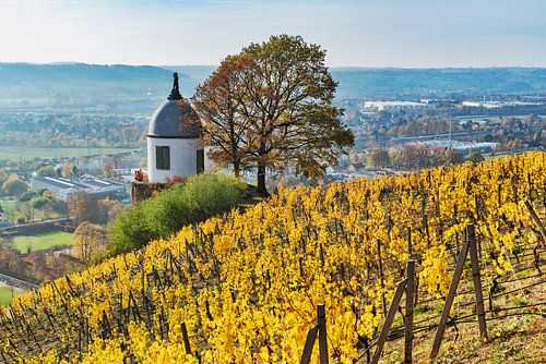Jacobstein in Radebeul, Duitsland