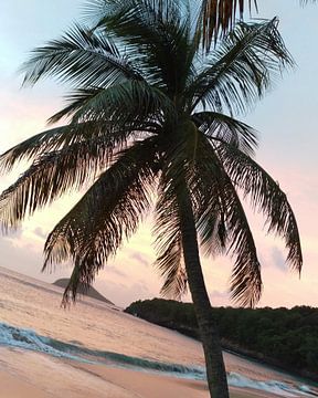 Sunset over Guadeloupe van Daniel Chambers