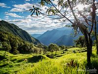 Cajas